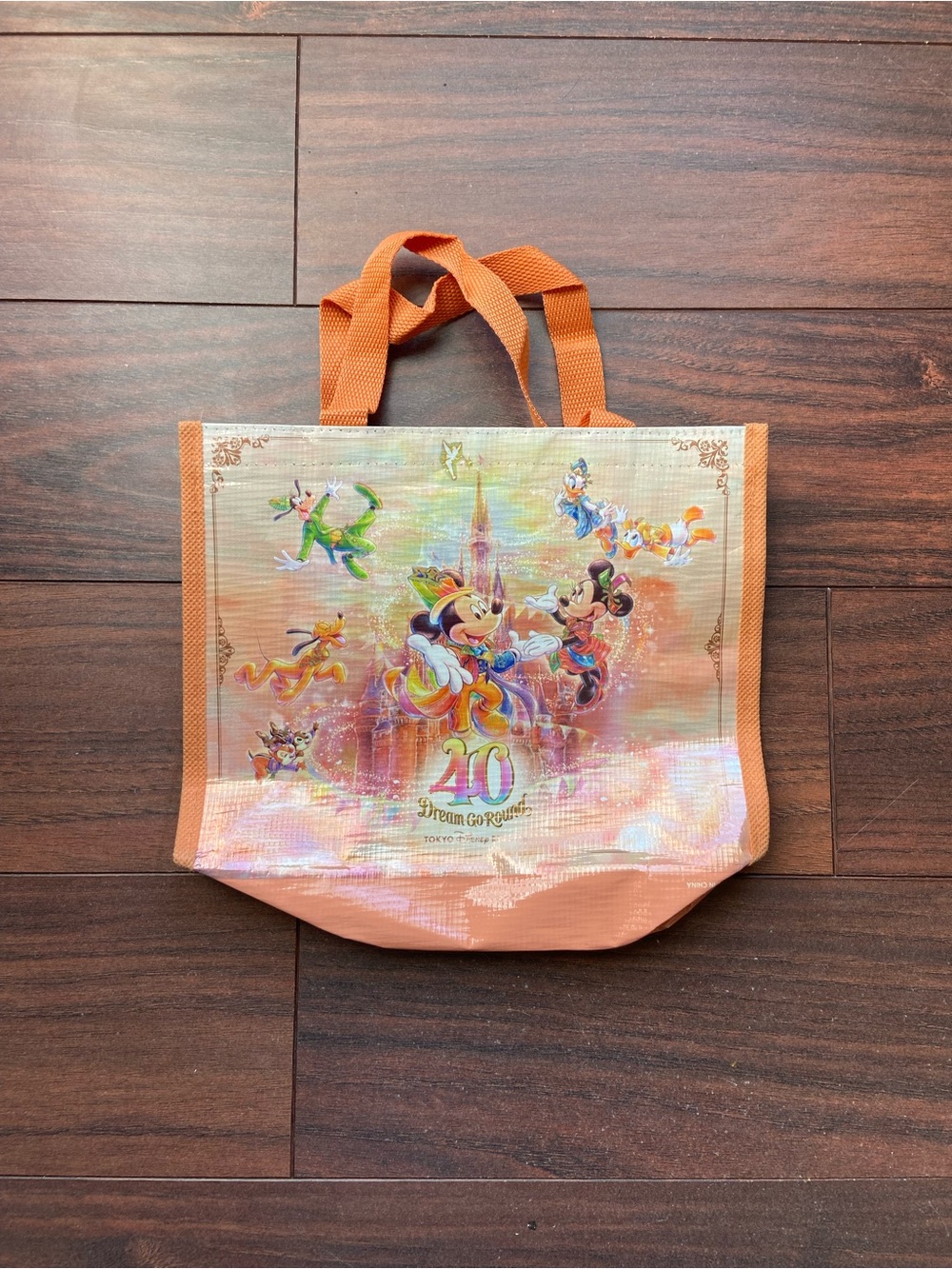 TOKYO DISNEY RESORT SMALL COOLER ZIP BAG